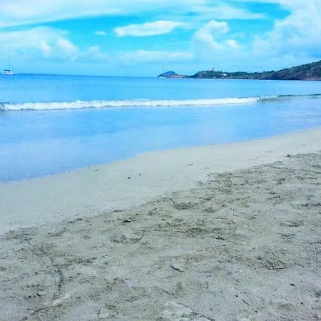 Cia Evelina SantʼAntìoco